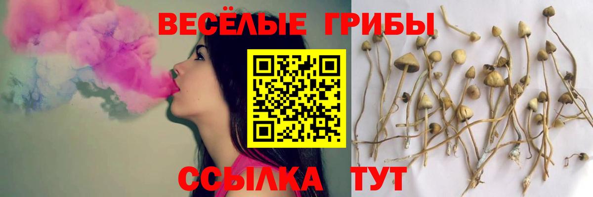 Евпатория  Псилоцибиновые грибы мухоморы  Вход с VPN 